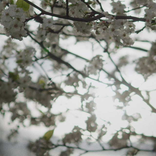 Отзывы. Свадебный фотограф Краснодар Юлия Ткаченко