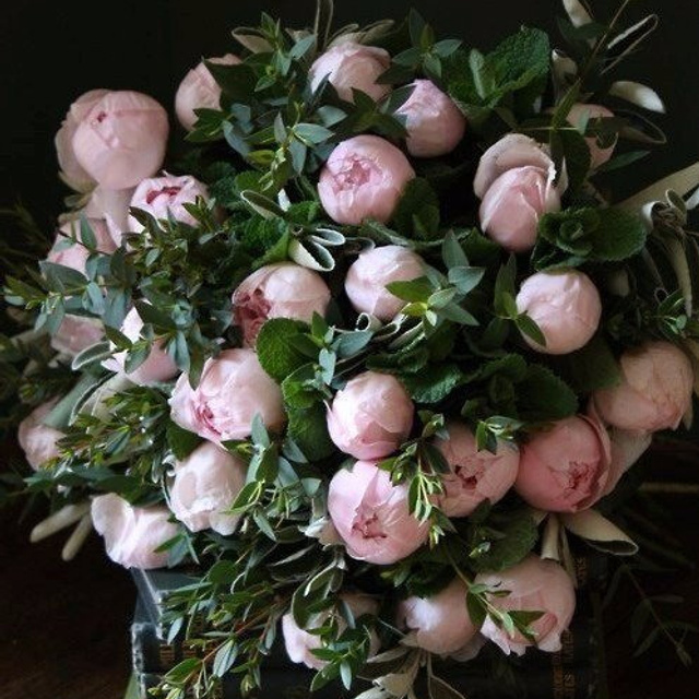 Отзывы. Фото-видеограф Анатолий