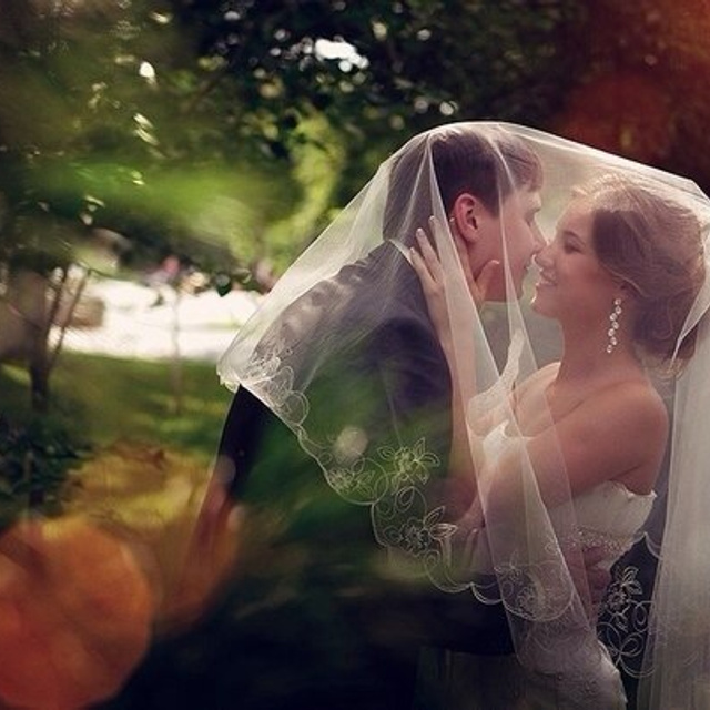 Отзывы. Свадебный и семейный фотограф в Новосибирске Александр Счастный