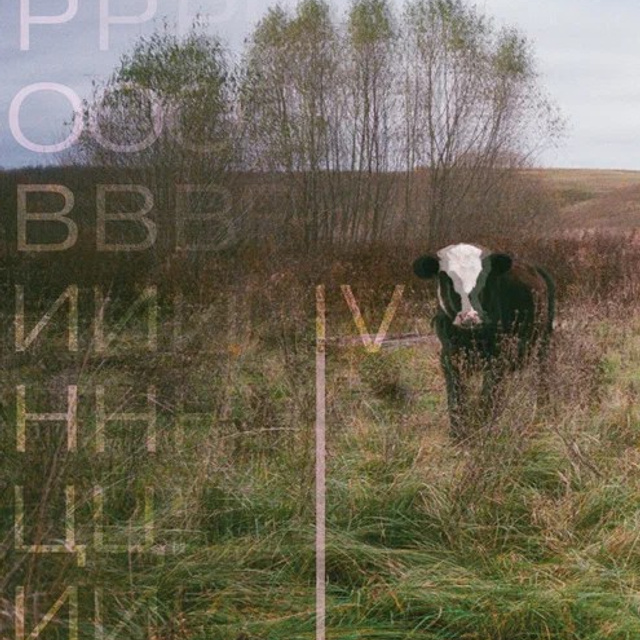 «Не зря тащил фотик в такую даль». Фотовыставки serebro.gallery, в которых автором можешь стать ты! | Москва