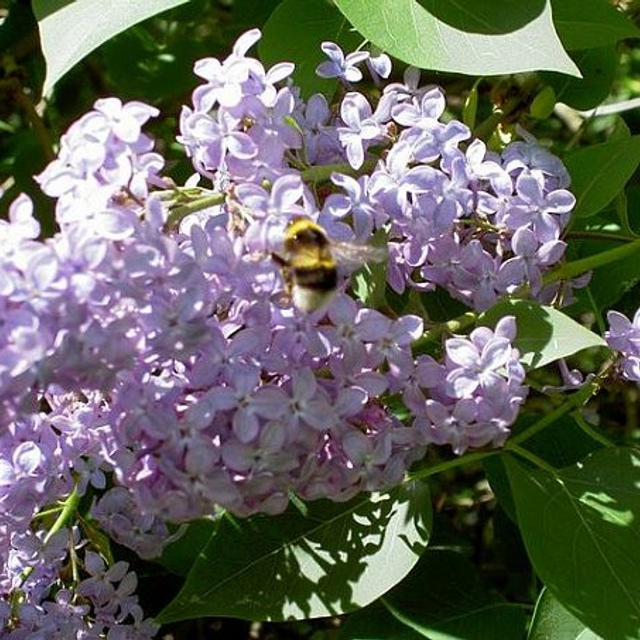 Отзывы. ДЕТСКИЙ И СЕМЕЙНЫЙ ФОТОГРАФ в Сосново, Ленинградской области и Спб