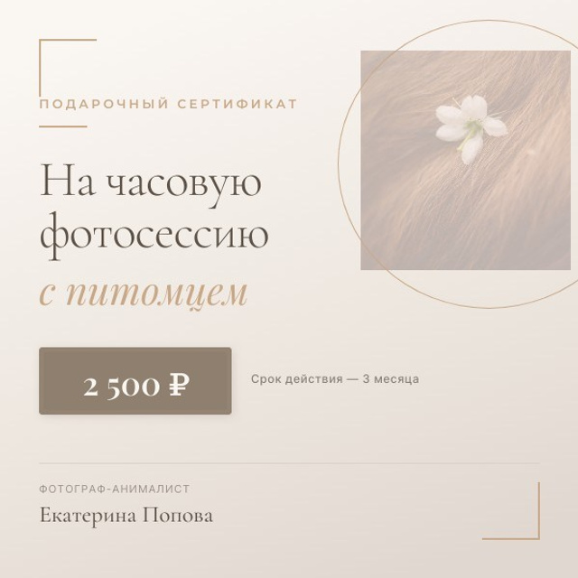 Подарочный сертификат