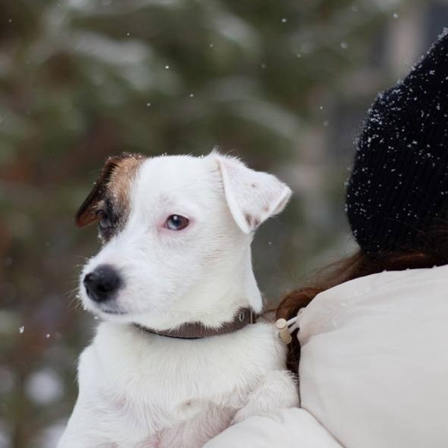 ОТЗЫВЫ. Анастасия, Фотограф женского портрета и беременности в стиле vogue