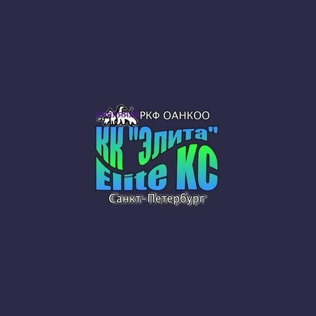 Отзывы. Фотограф — анималист в Санкт — Петербурге Анна Орис