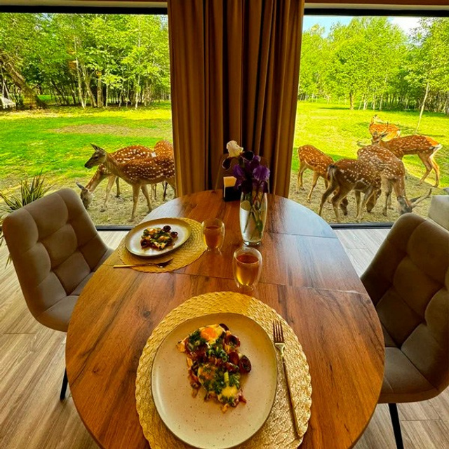 Оленья ферма Бэмби Лэнд — смотреть в каталоге