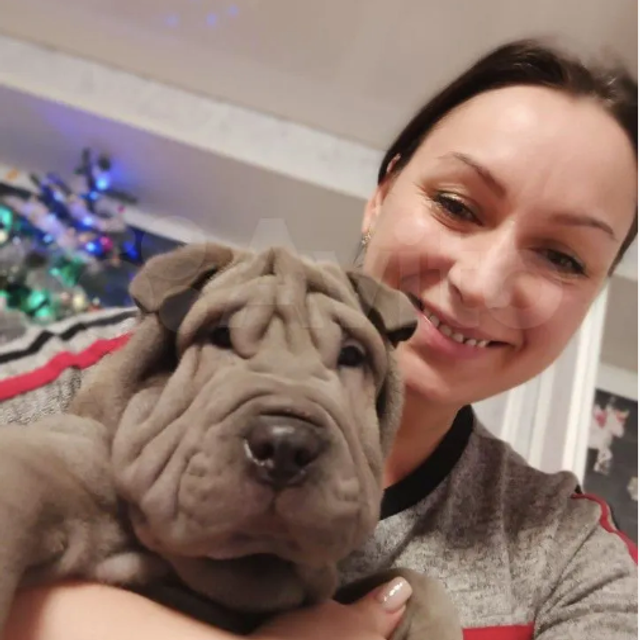 Отзывы. Питомник собак Иркутск