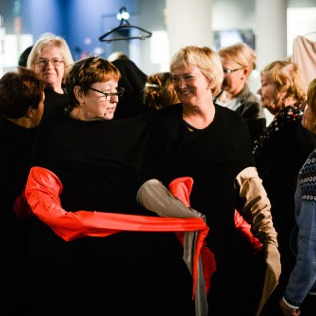 Collective costumes. Elena Slobtseva is a visual multidisciplinary artist