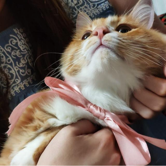 Отзывы о фотографе Евгении Опарине