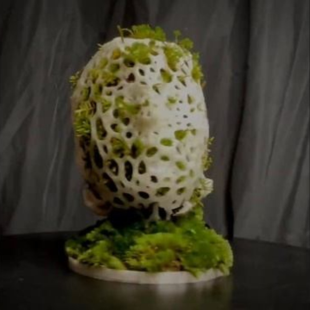 Апперцепция #97. Саша Малышева ● Художник