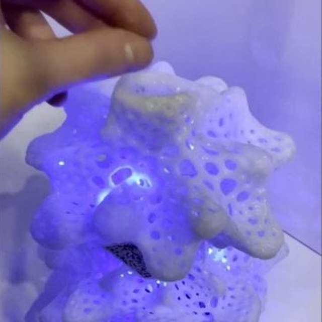 О балансе, равновесии и символическом обмене #92. Саша Малышева ● Художник