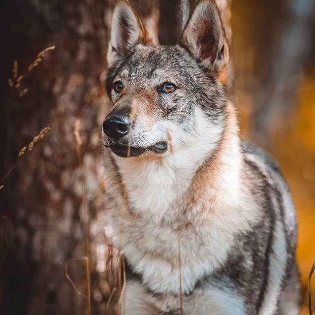 Отзывы. Семейный и детский фотограф в Москве Мария Быкова