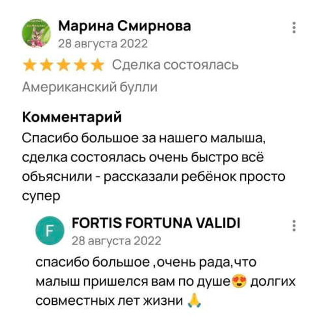 Отзывы. ПИТОМНИК СОБАК ПОРОДЫ АМЕРИКАНСКИЙ БУЛЛИ