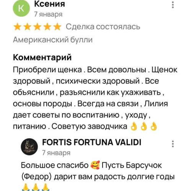 Отзывы. ПИТОМНИК СОБАК ПОРОДЫ АМЕРИКАНСКИЙ БУЛЛИ