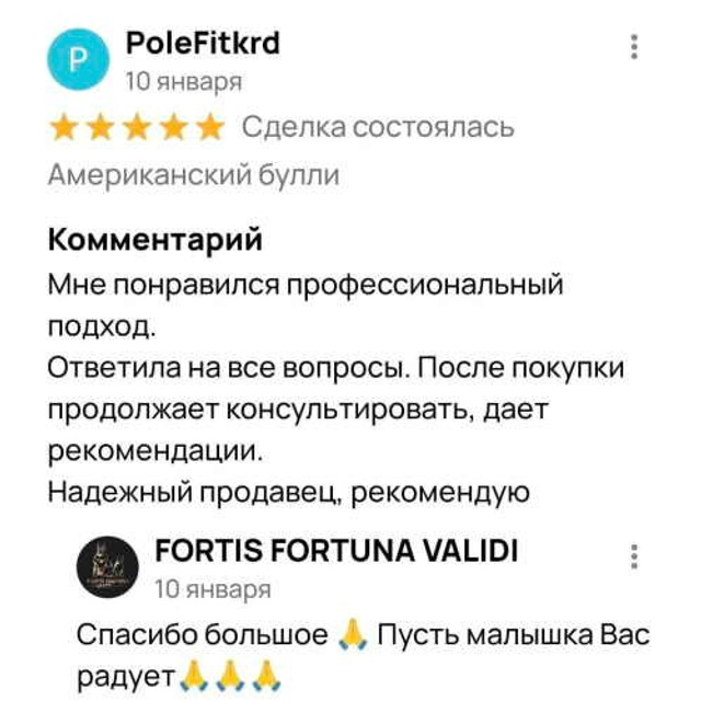 Отзывы. ПИТОМНИК СОБАК ПОРОДЫ АМЕРИКАНСКИЙ БУЛЛИ