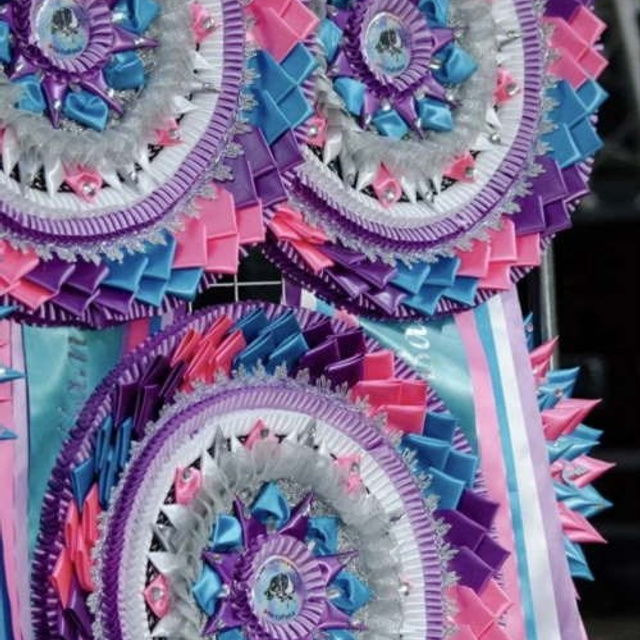 Фото галлерея американских булли. ПИТОМНИК СОБАК ПОРОДЫ АМЕРИКАНСКИЙ БУЛЛИ