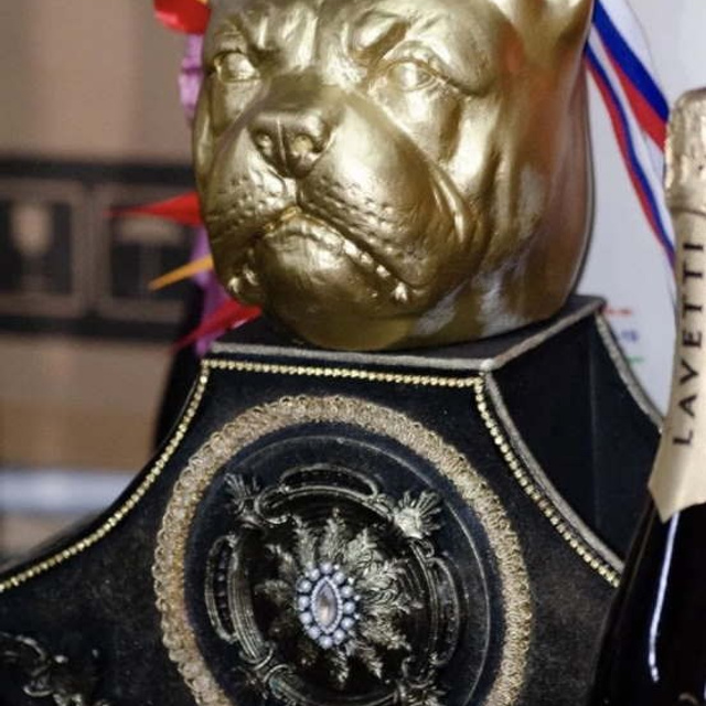 Фото галлерея американских булли. ПИТОМНИК СОБАК ПОРОДЫ АМЕРИКАНСКИЙ БУЛЛИ