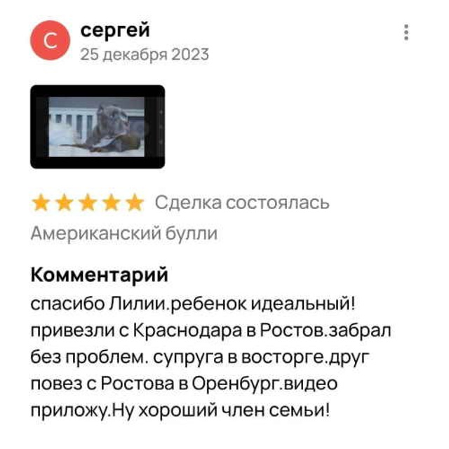 Отзывы. ПИТОМНИК СОБАК ПОРОДЫ АМЕРИКАНСКИЙ БУЛЛИ