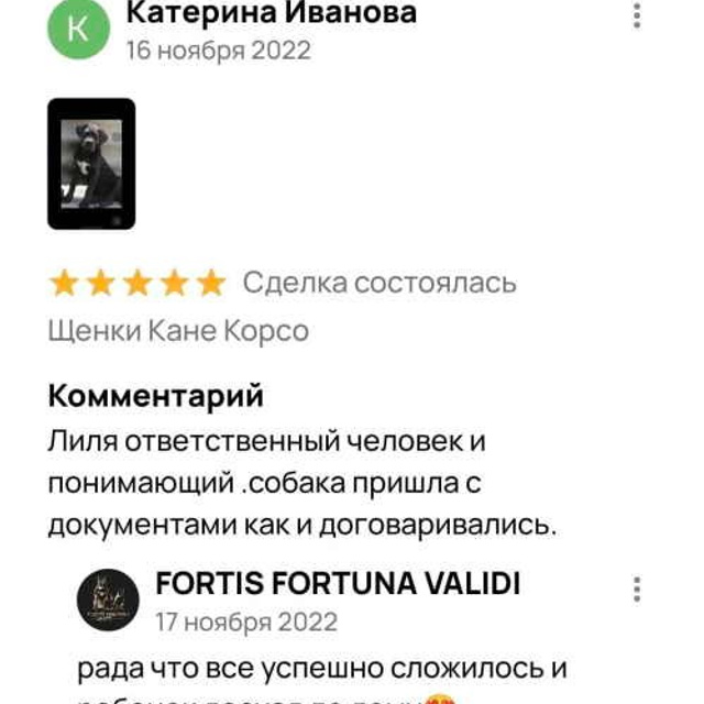 Отзывы. ПИТОМНИК СОБАК ПОРОДЫ АМЕРИКАНСКИЙ БУЛЛИ