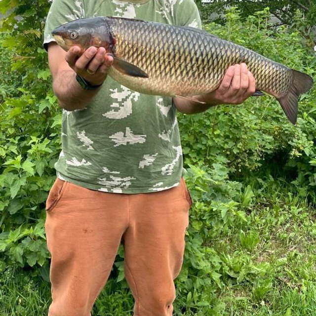 Новости и события Шалово-парк Серебрянные ключи. Оздоровительный комплекс Шалово-парк Серебряные ключи