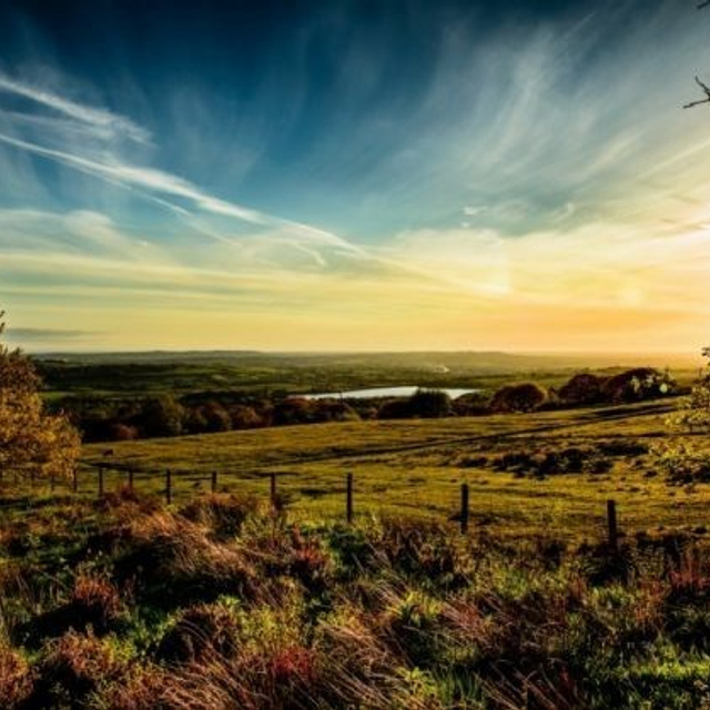 Отзывы. Фотограф для маркетплейсов Михаил Бове