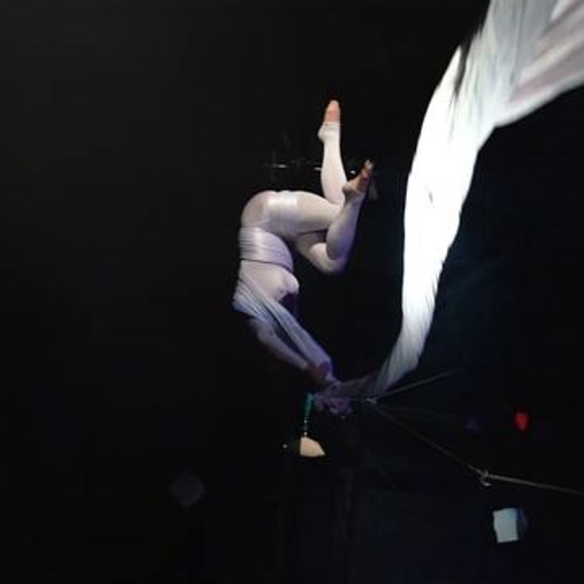 Перформанс. Видеограф Добромыслов