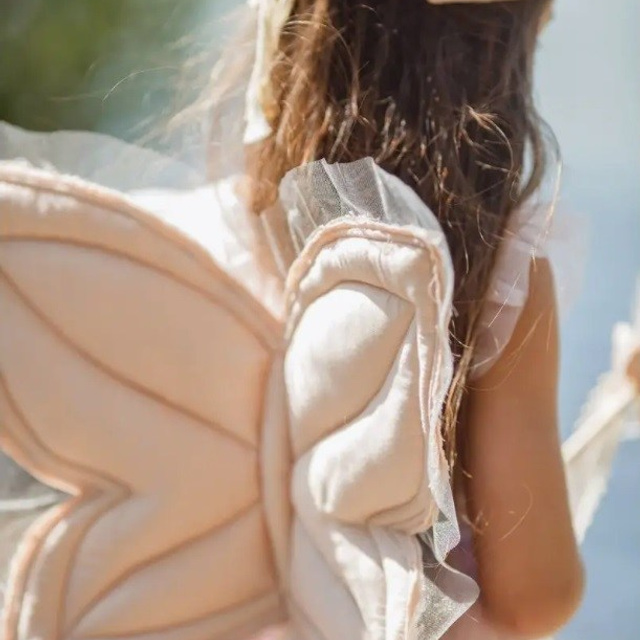 Набор феи. Фотостудия «Балкон» — аренда фотостудии в Пензе