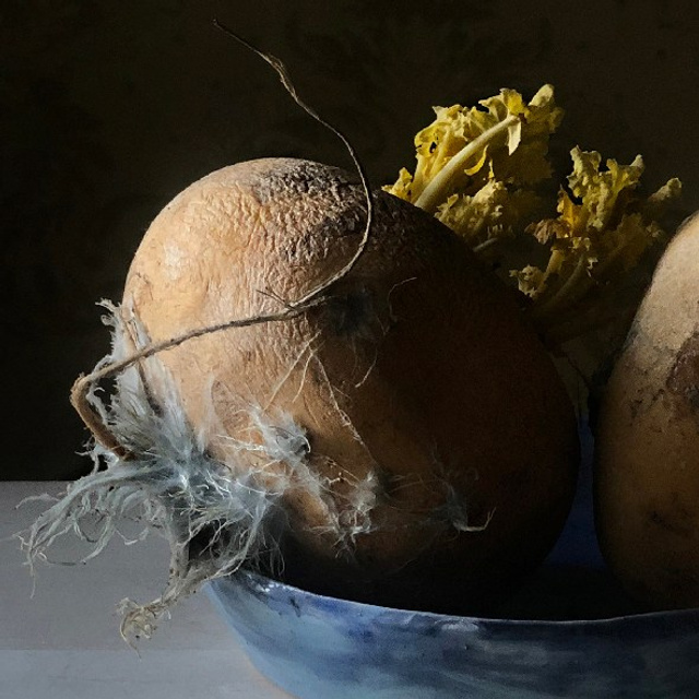 Репки / Turnips