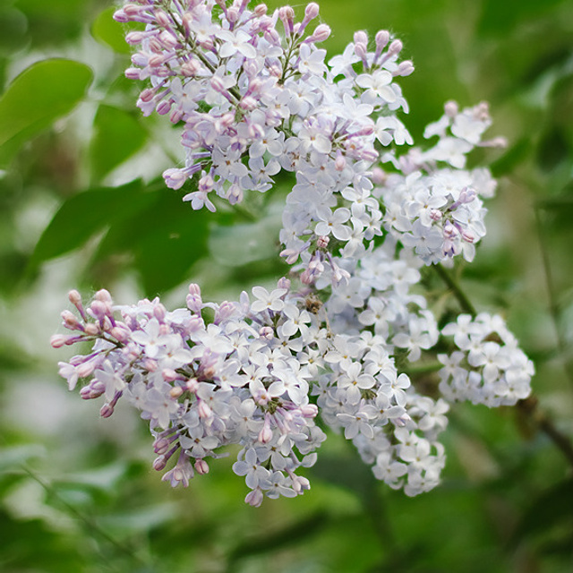 Отзывы. Контентный фотограф в Перми Натали Кытманова