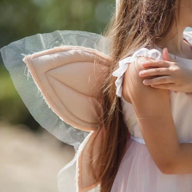 Набор феи. Фотостудия «Балкон» — аренда фотостудии в Пензе