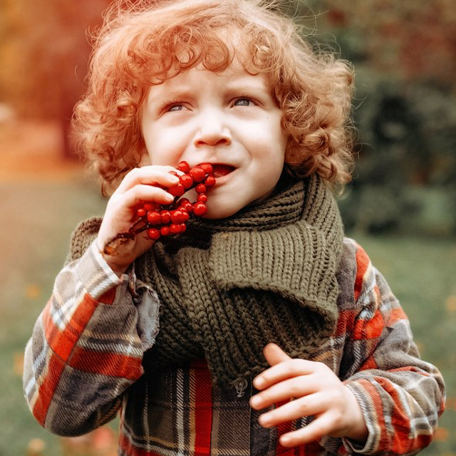 Отзывы. Главная