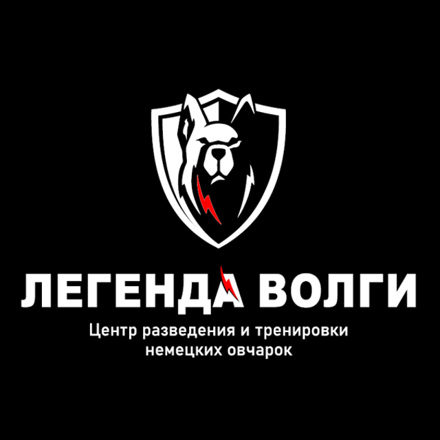 Отзывы. Репортажная фото и видеосъемка в Москве под ключ