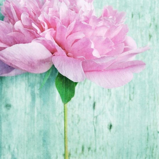 Отзывы. Студия выпускных альбомов Ольги Тушковой в городе Каменск-Уральский, Екатеринбург