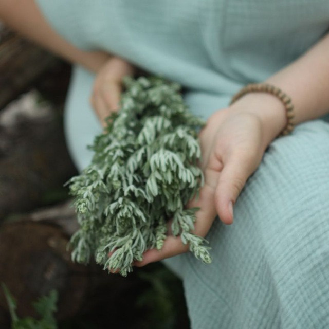 Отзывы. Видеограф в Санкт-Петербурге Анастасия Коок