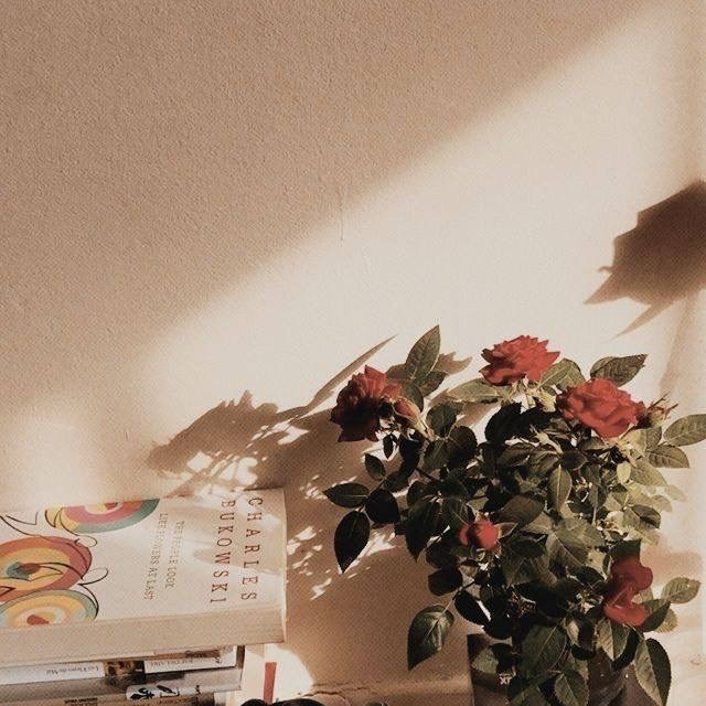 ОТЗЫВЫ. Ангелина Темирова