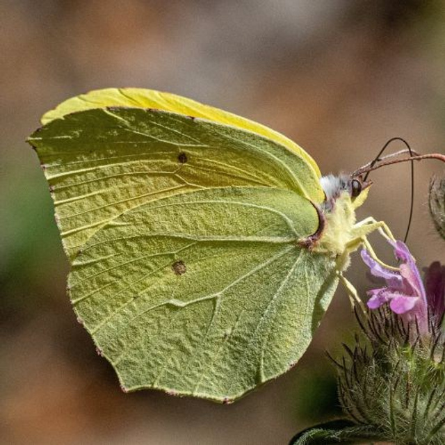 Отзывы участников фототура