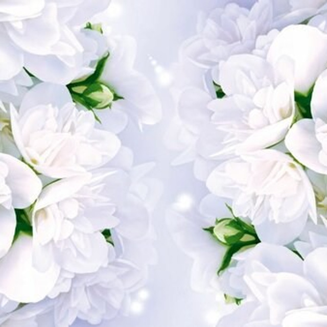 Отзывы. Детская фотостудия «Чудо малыш»