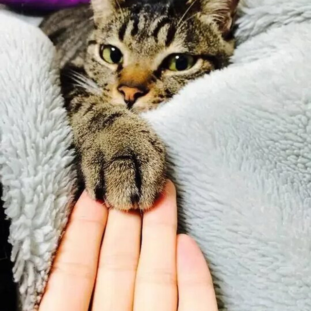 Отзывы. Юлиана Смешек, коуч, наставник экспертов и предпринимателей