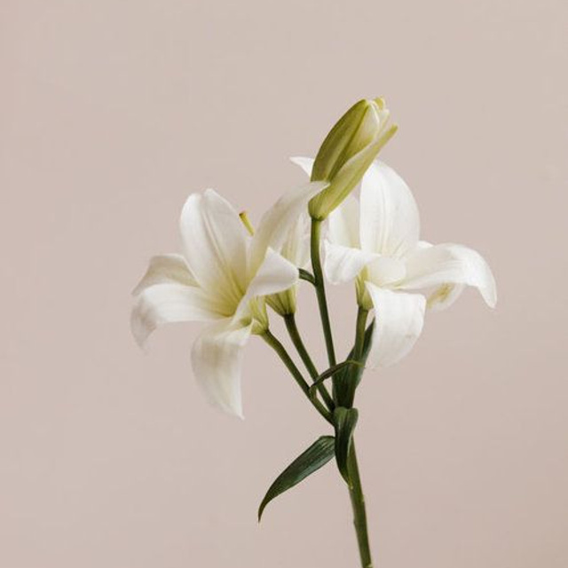 Отзывы. Юлиана Смешек, коуч, наставник экспертов и предпринимателей