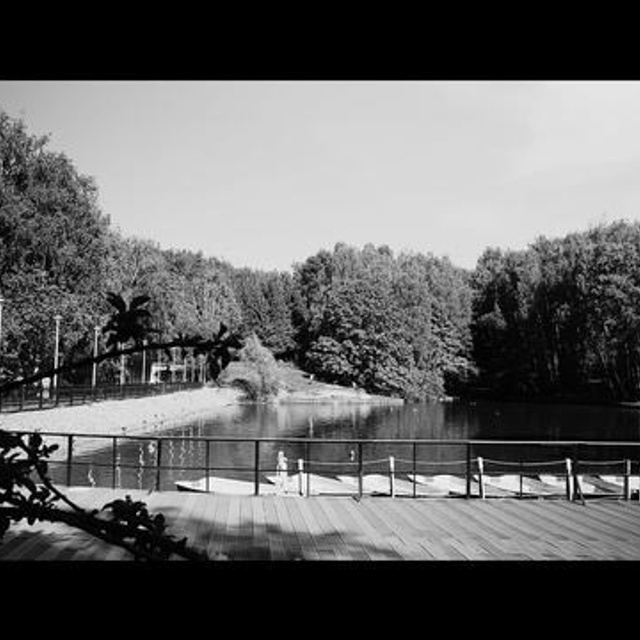 Видео работы