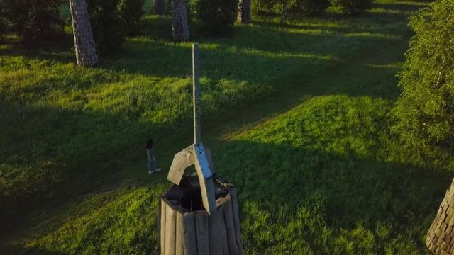 Перформанс. Видеограф Добромыслов