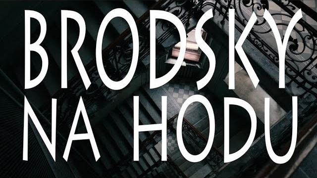 Videographer in Georgia, Turkey, Armenia. Photographer in Georgia UAE Russia Nekit Fox