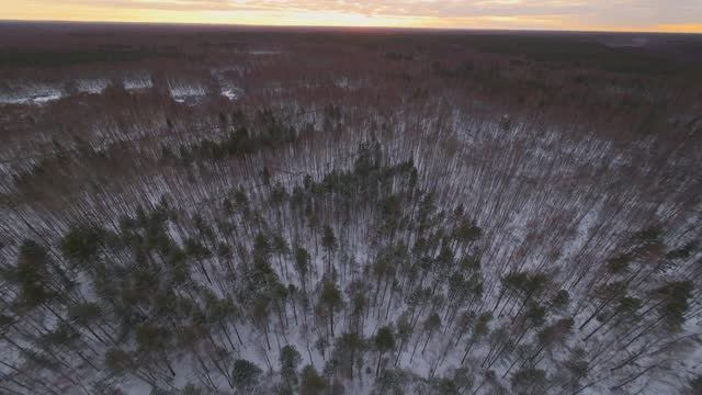Аэровидеосъемка с квадрокоптера в Москве и МО. Видеосъемка свадеб и лавстори, студийная съемка, видеопортреты, фешн-съемки в Москве и МО