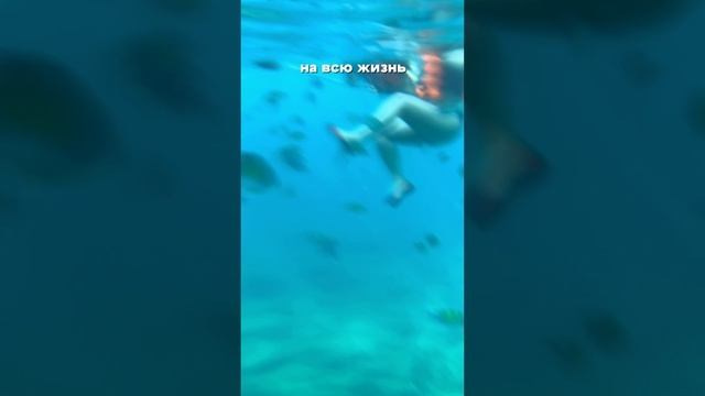 REELS. Видеограф в СПБ. Съемки любой сложности