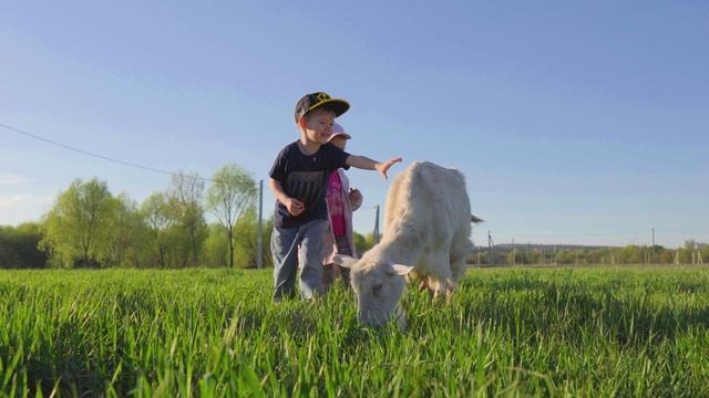 Коммерческая съёмка. Видеоосъемка в Воронеже и Воронежской области любого характера от комерческой до свадебной
