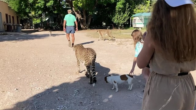 Реклама. Коммерческий и свадебный видеограф в Тюмени Марина Сысоева