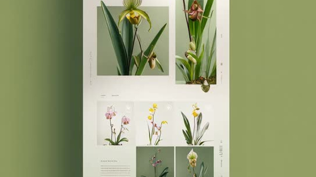 Генерации видео для рекламы