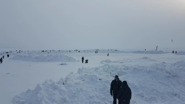 Temporary. Atmospheric landscapes, horses, butterfies. Alexander Kozhukhov