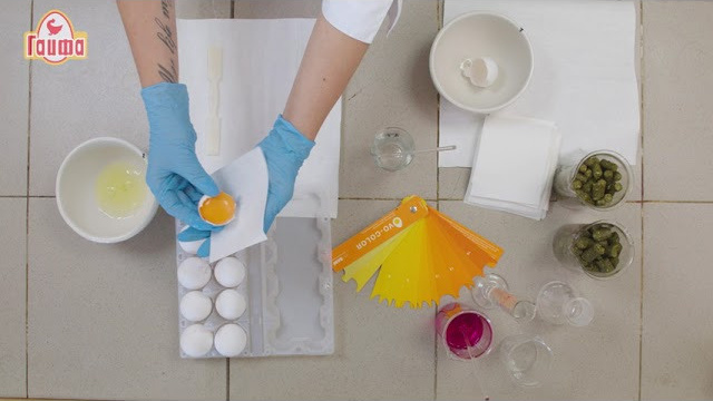 История предприятия «Гайфа» (г.Гай). Олег Piezo.Свадебная видеосъёмка в Екатеринбурге, Москве