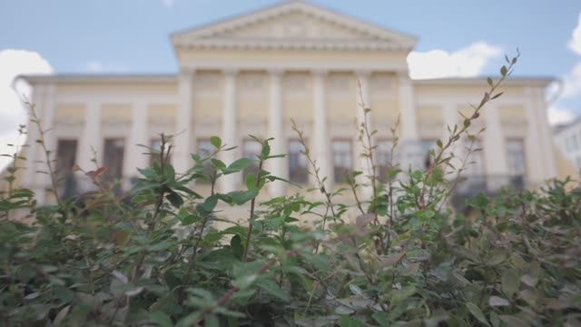 ТИЗЕР + ФИЛЬМ wedding. Kharchenkotatianaweddingphoto