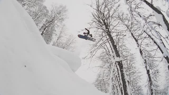 JOON || ROSA FEST 2024